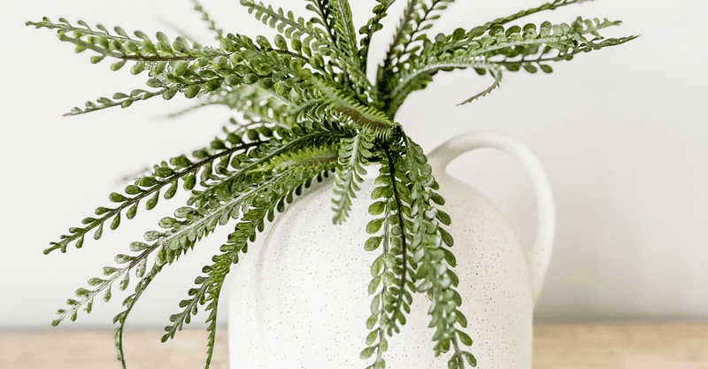 Real vs Faux: Choosing the Right Plants for Your Space