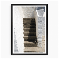 Stone Stairway Wander & Wild 