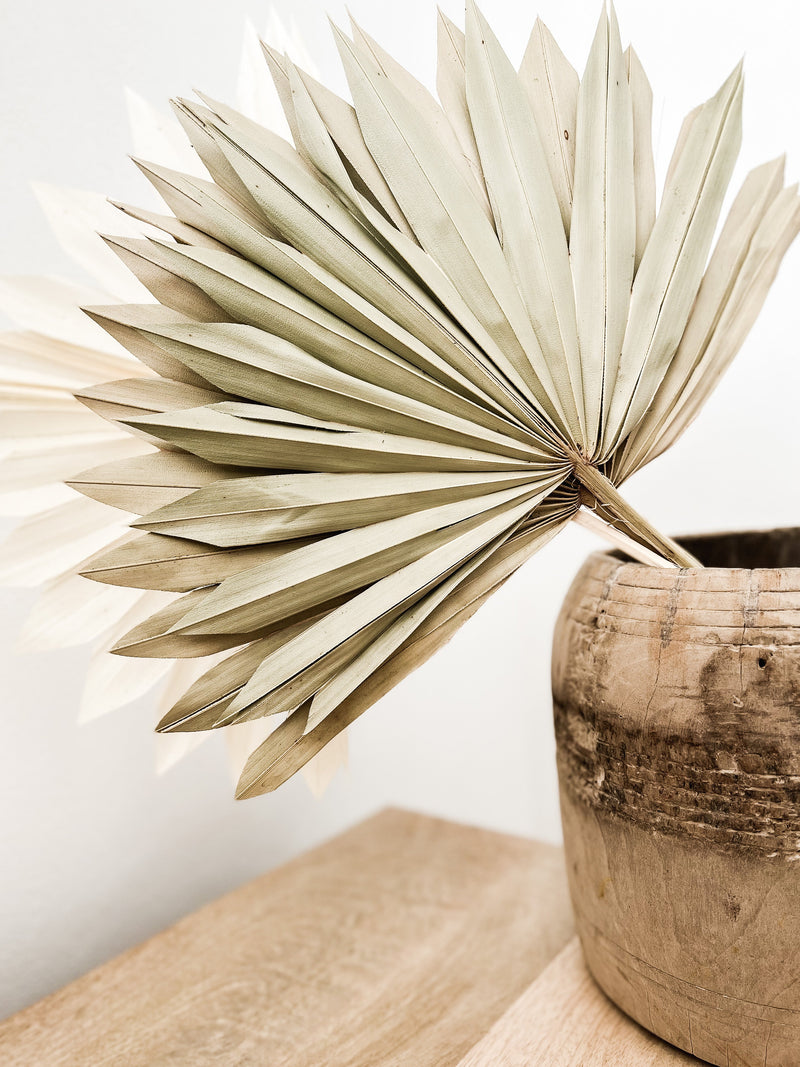 Dried Palms are a popular decor trend for coastal & natural styled spaces. A single Palm in a cute vase placed on a shelf or side table makes a gorgeous statement. For a bolder feature, use in a bunch and place at the centre of your dining or console. 