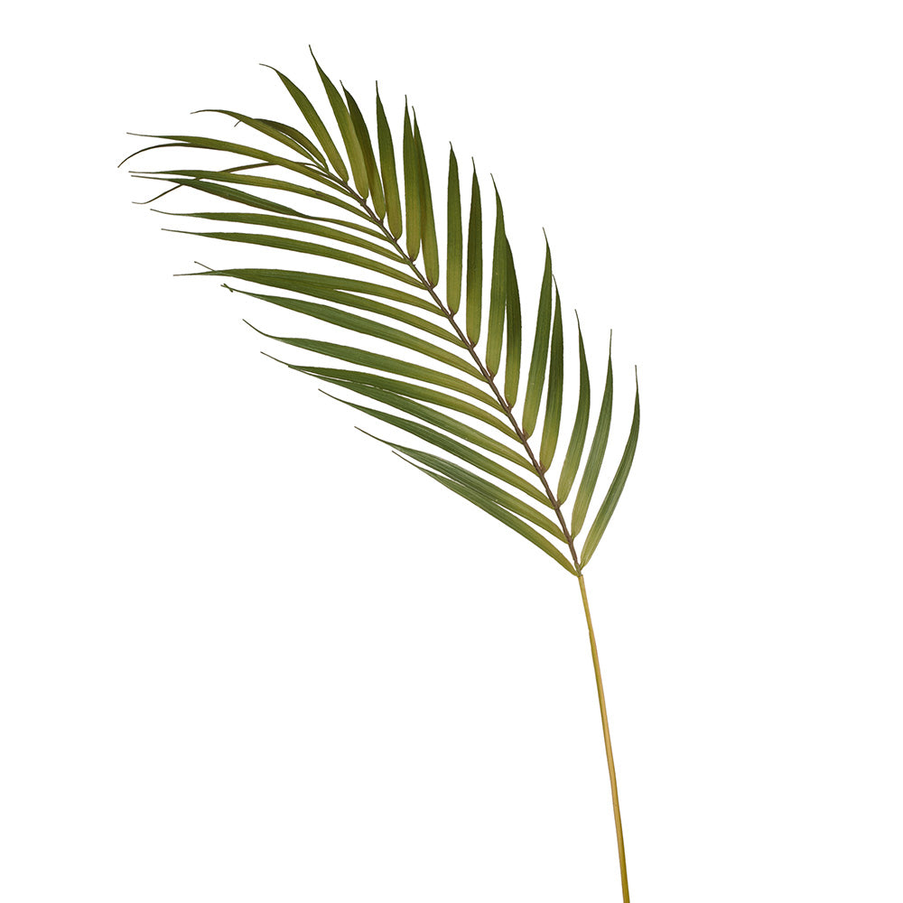 Lenox Faux Palm Leaf Wander & Wild 