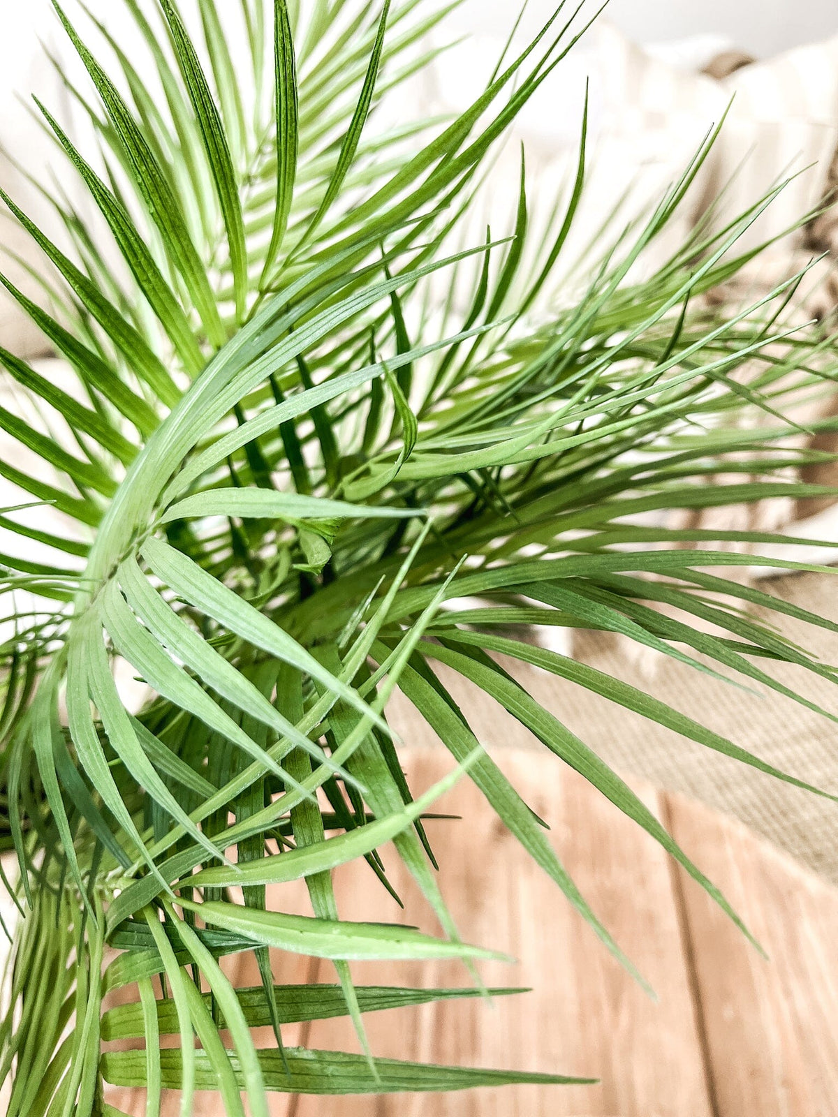 Lenox Faux Palm Leaf Wander & Wild 
